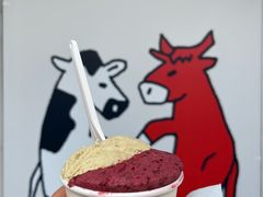 -Dip in Gelato(富民路店)