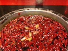 -渝大狮毛肚老火锅(普陀店)