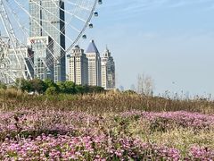 -南昌之星摩天轮