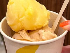 芒果百香果雪葩-LUNEURS月乐诗·法式冰淇淋(环贸店)