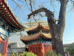 -贤良祠