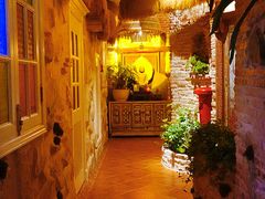 -叶叶菩提(太原别墅店)