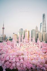 -迈瑞米求婚策划(静安店)