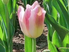 -招商银行(安亭支行)