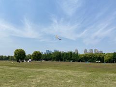 -山明水秀大饭店