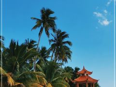 -东郊椰林