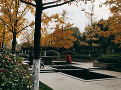 -杭州城北体育公园