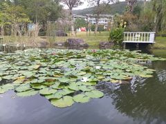 -宁波九龙湖开元度假村