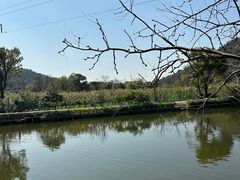-树山生态村