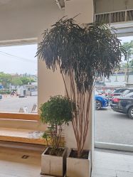 -Hair  Gallery