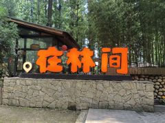 -林间山庄