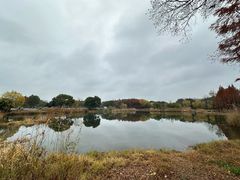 -贡湖湾湿地公园