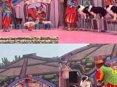 -渔岛海洋度假区