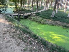 -新洲生态园
