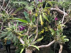 -南通洲际绿博园