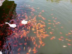 -西安汉城湖景区