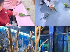 -顺德南宏海立方海洋公园