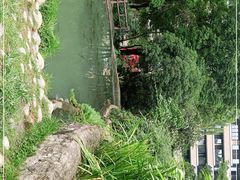 -成都市活水公园