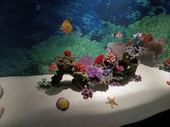-山东博物馆