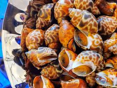 -星璞餐厅(深铁塘朗城君璞酒店)