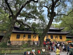 -普陀山风景名胜区-法雨禅寺