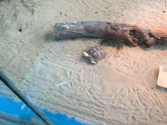 -无锡动物园·太湖欢乐园