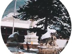 -五台山风景名胜区-罗睺寺