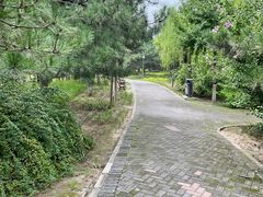 -大兴滨河森林公园