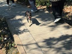 -灵顺寺