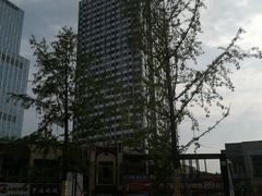 -万达广场(泰安泰山店)