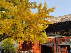 -红螺寺