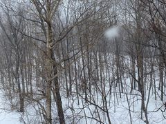 -亚布力新体委滑雪场