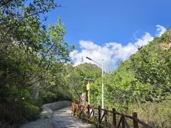 -大岭沟猕猴桃谷风景区