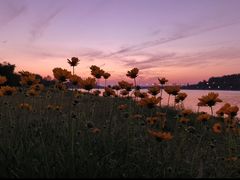 -肯德基(沪东店)