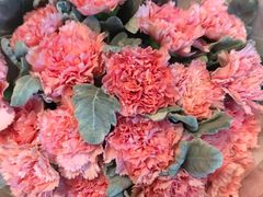 -怡花宜木鲜花店(朝阳路店)