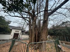 -十里琅珰
