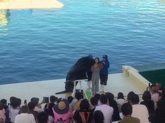 景点-秦皇岛乐岛海洋王国