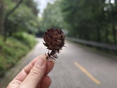 -虞山风景区