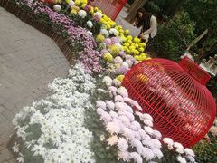 -汇龙潭