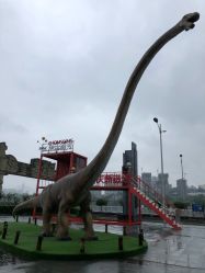 -恐龙探索乐园(磁器口店)