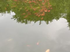 -台州府城(东湖)