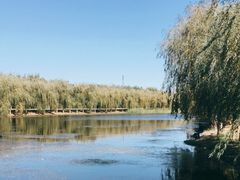 -东坝千亩湖公园