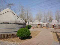 -九十九顶毡房(阜石路店)