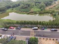 -美的鹭湖森林度假区