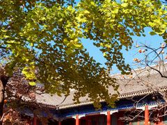 -北京石刻艺术博物馆(五塔寺)