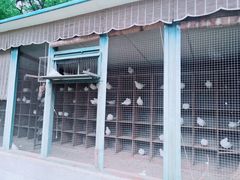 -宋庆龄陵园
