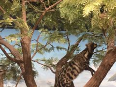 -陕西自然博物馆