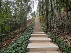 -广州市帽峰山景区