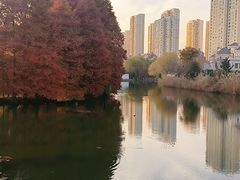 -白塘生态植物园