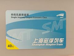 -龙阳路磁悬浮列车总站-停车场